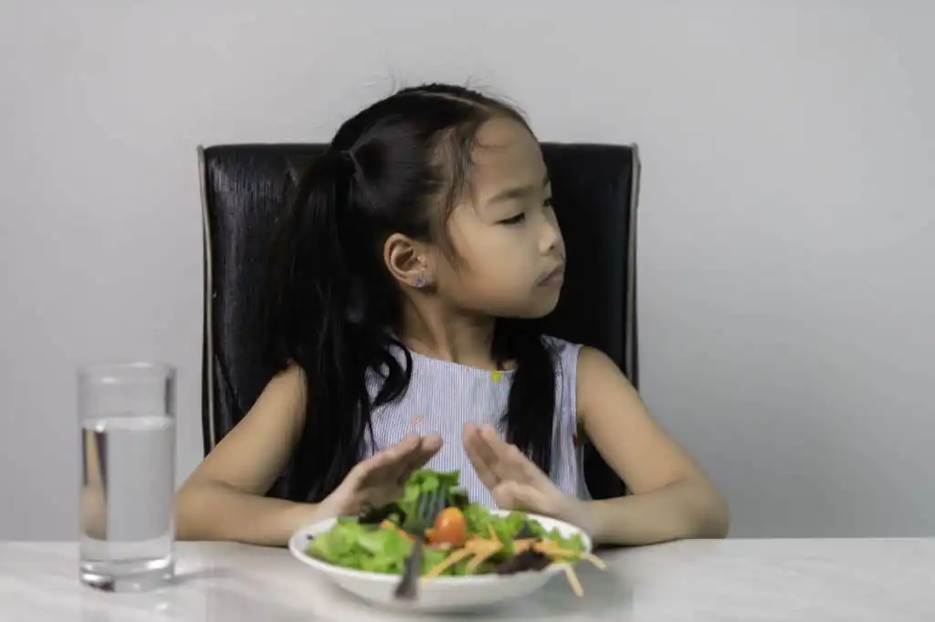Anak Pilih-pilih Makanan