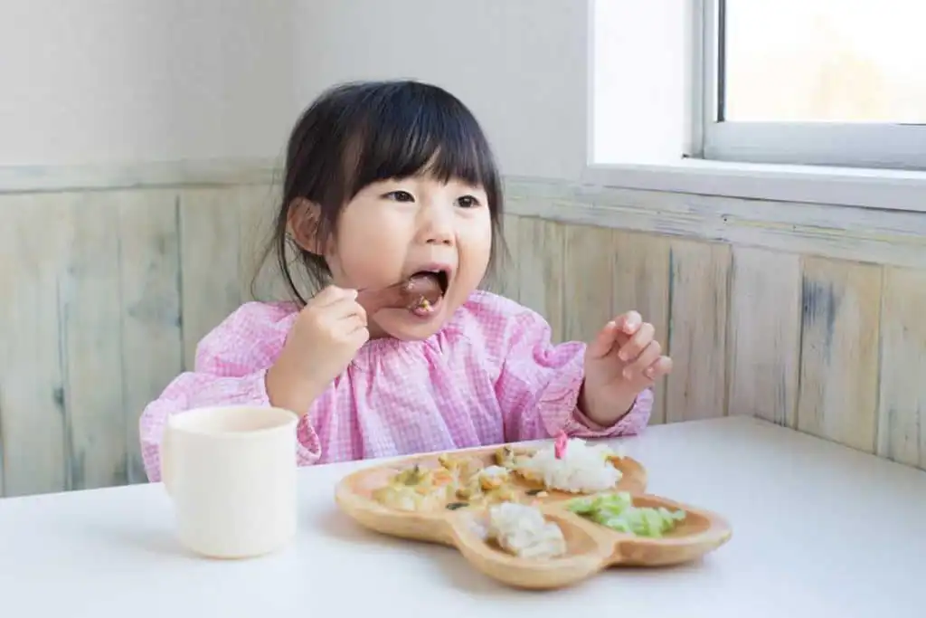 Menu Anak Susah Makan