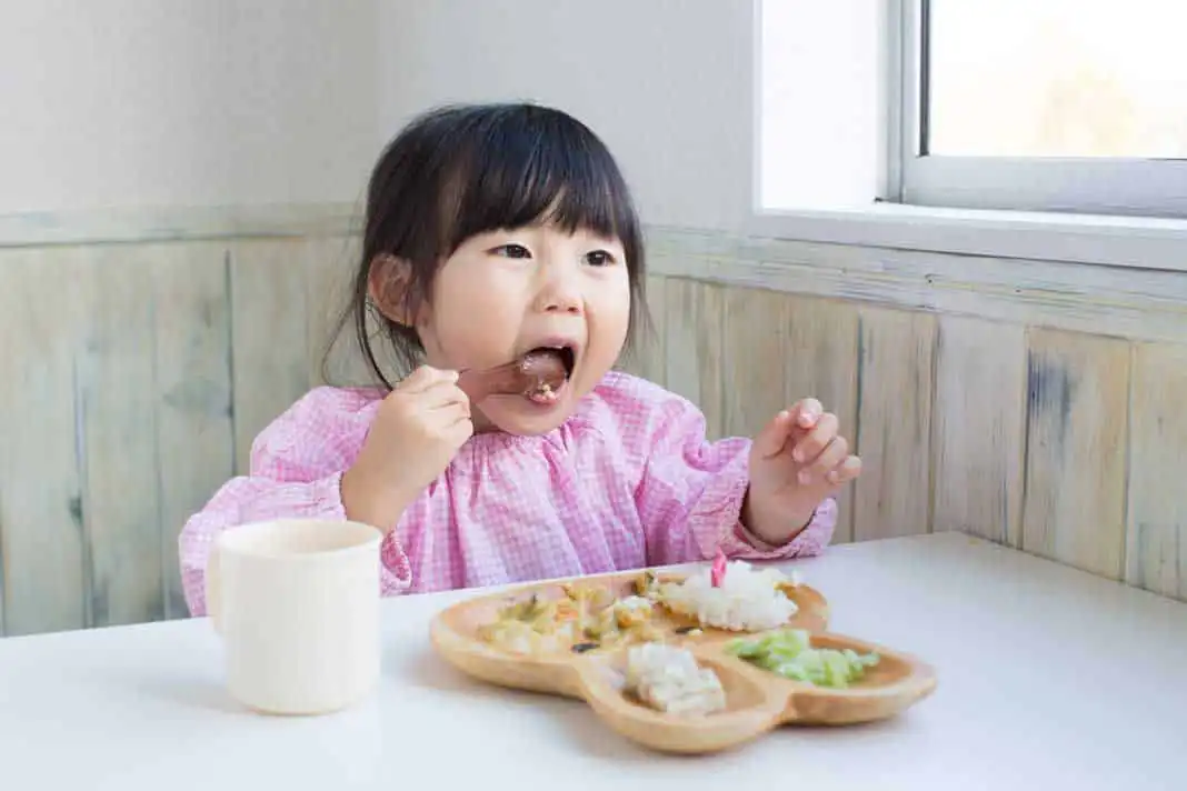 Menu Anak Susah Makan