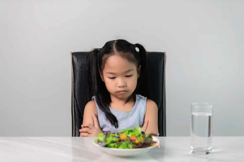 Anak Menolak Makan